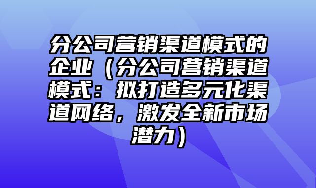 分公司营销渠道模式的企业（分公司营销渠道模式：拟打造多元化渠道网络，激发全新市场潜力）