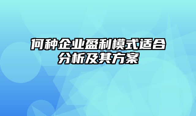 何种企业盈利模式适合分析及其方案