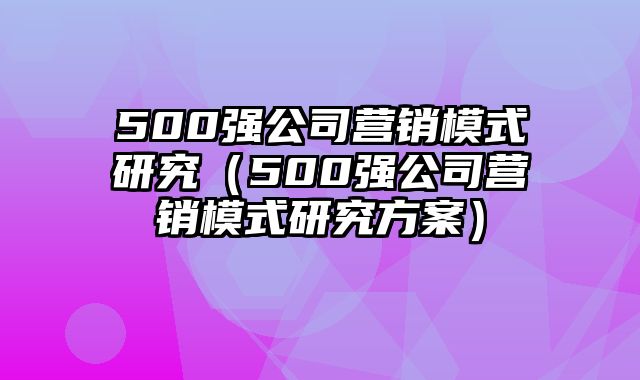 500强公司营销模式研究（500强公司营销模式研究方案）