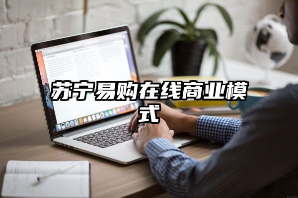 苏宁易购在线商业模式