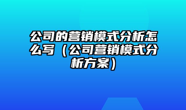 公司的营销模式分析怎么写（公司营销模式分析方案）