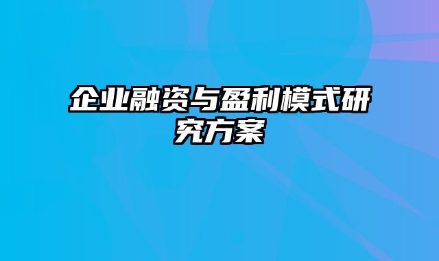 企业融资与盈利模式研究方案