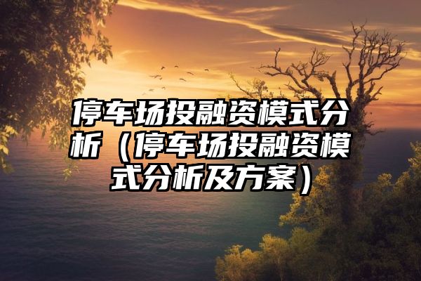 停车场投融资模式分析（停车场投融资模式分析及方案）