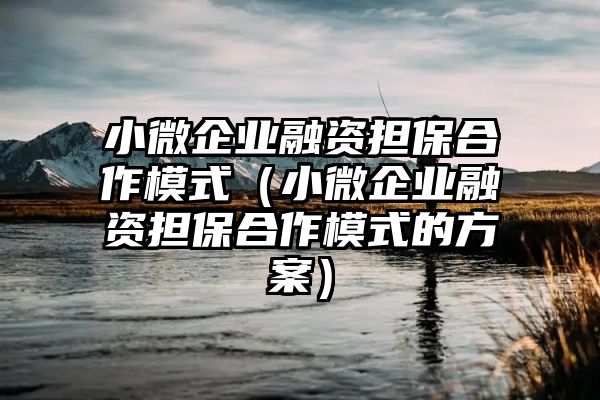 小微企业融资担保合作模式（小微企业融资担保合作模式的方案）