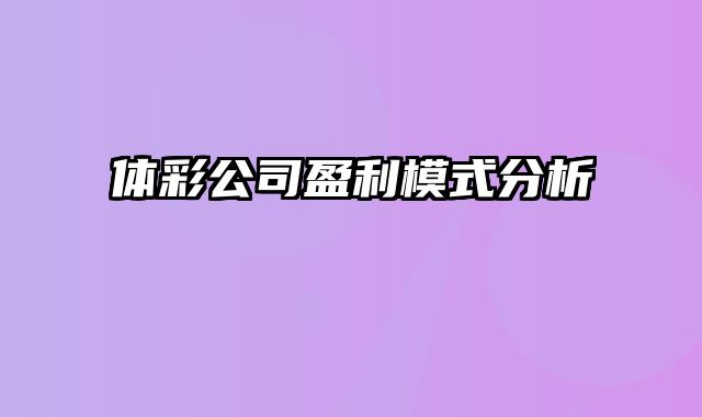 体彩公司盈利模式分析