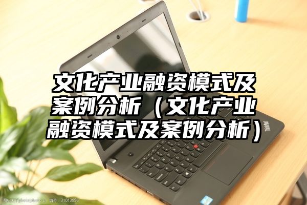 文化产业融资模式及案例分析（文化产业融资模式及案例分析）