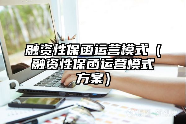 融资性保函运营模式（融资性保函运营模式方案）