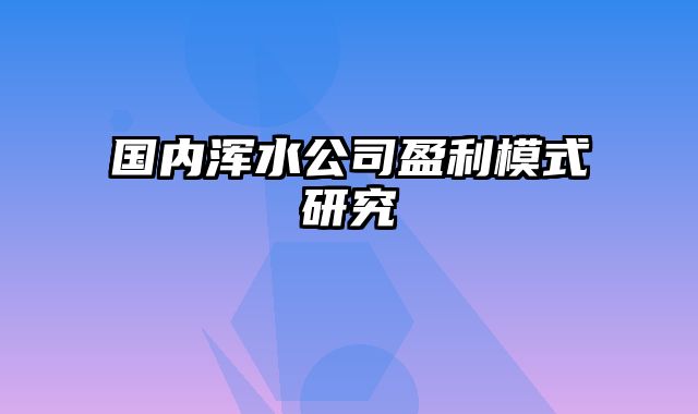 国内浑水公司盈利模式研究