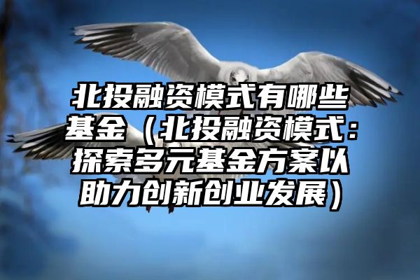 北投融资模式有哪些基金（北投融资模式：探索多元基金方案以助力创新创业发展）