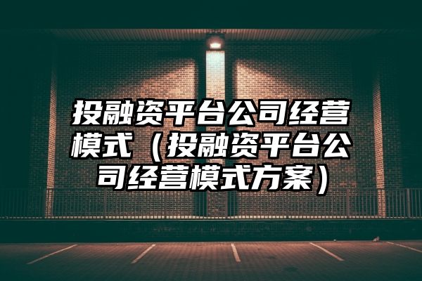 投融资平台公司经营模式（投融资平台公司经营模式方案）