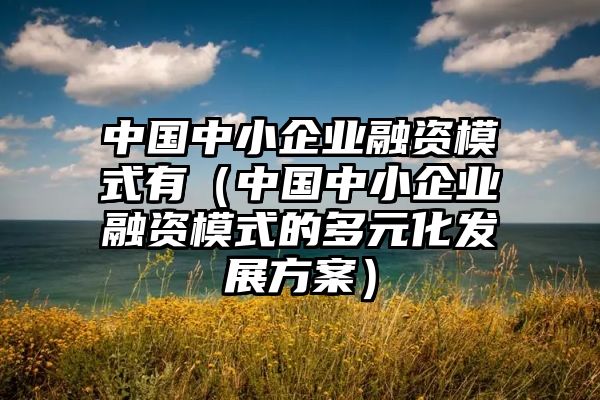 中国中小企业融资模式有（中国中小企业融资模式的多元化发展方案）