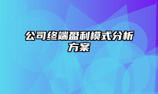 公司终端盈利模式分析方案