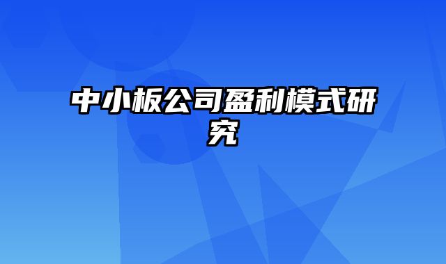 中小板公司盈利模式研究