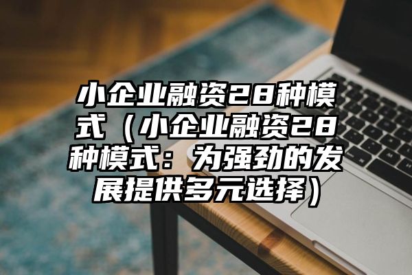 小企业融资28种模式（小企业融资28种模式：为强劲的发展提供多元选择）