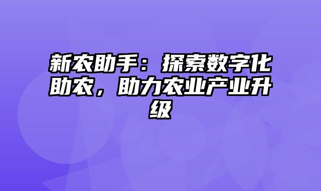 新农助手：探索数字化助农，助力农业产业升级