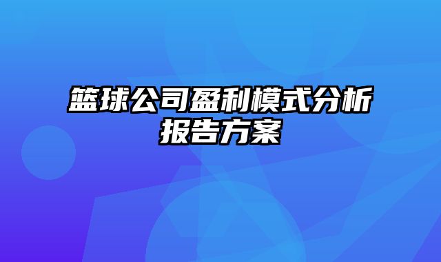 篮球公司盈利模式分析报告方案