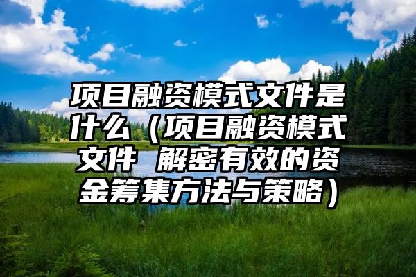 项目融资模式文件是什么（项目融资模式文件 解密有效的资金筹集方法与策略）