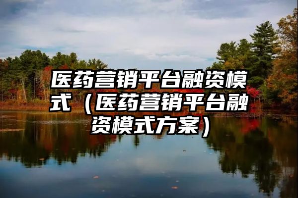 医药营销平台融资模式（医药营销平台融资模式方案）