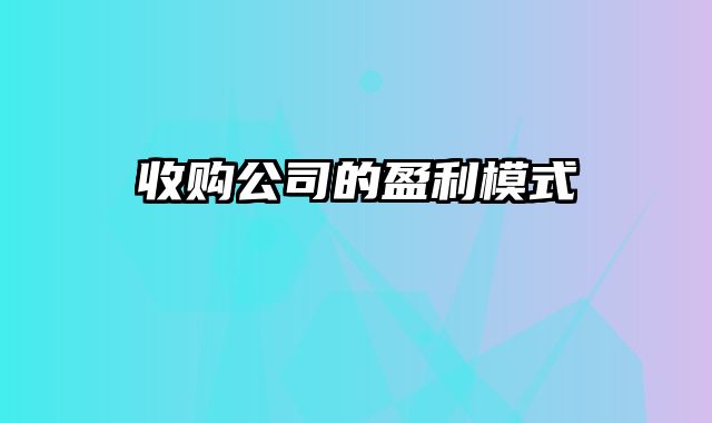 收购公司的盈利模式