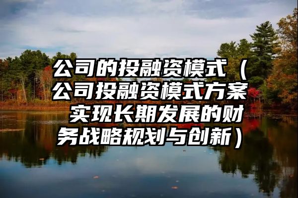 公司的投融资模式（公司投融资模式方案 实现长期发展的财务战略规划与创新）