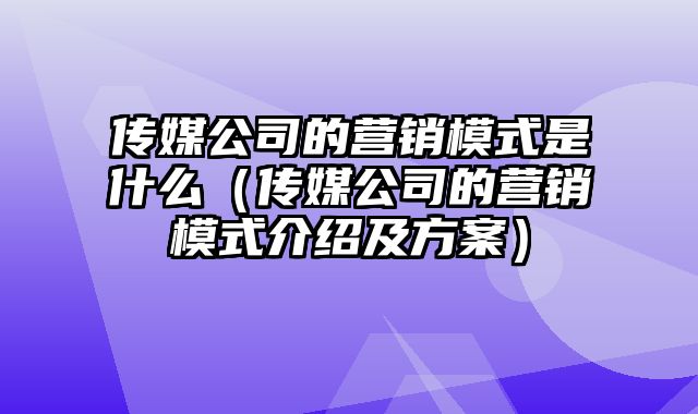 传媒公司的营销模式是什么（传媒公司的营销模式介绍及方案）