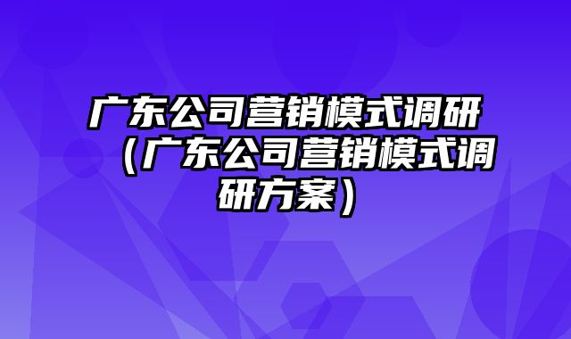 广东公司营销模式调研（广东公司营销模式调研方案）