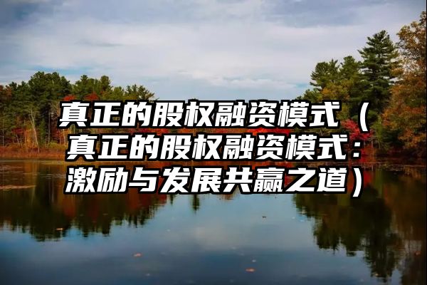 真正的股权融资模式（真正的股权融资模式：激励与发展共赢之道）