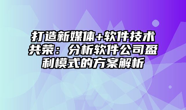 打造新媒体+软件技术共荣：分析软件公司盈利模式的方案解析