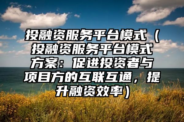 投融资服务平台模式（投融资服务平台模式方案：促进投资者与项目方的互联互通，提升融资效率）