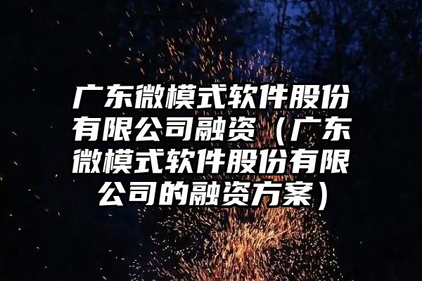 广东微模式软件股份有限公司融资（广东微模式软件股份有限公司的融资方案）