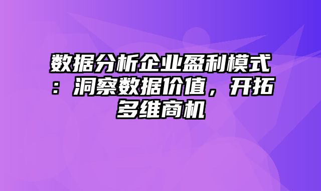 数据分析企业盈利模式：洞察数据价值，开拓多维商机