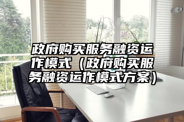 政府购买服务融资运作模式（政府购买服务融资运作模式方案）