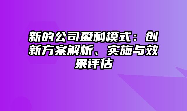 新的公司盈利模式：创新方案解析、实施与效果评估