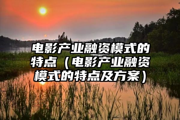 电影产业融资模式的特点（电影产业融资模式的特点及方案）