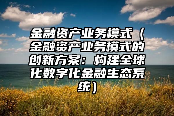 金融资产业务模式（金融资产业务模式的创新方案：构建全球化数字化金融生态系统）