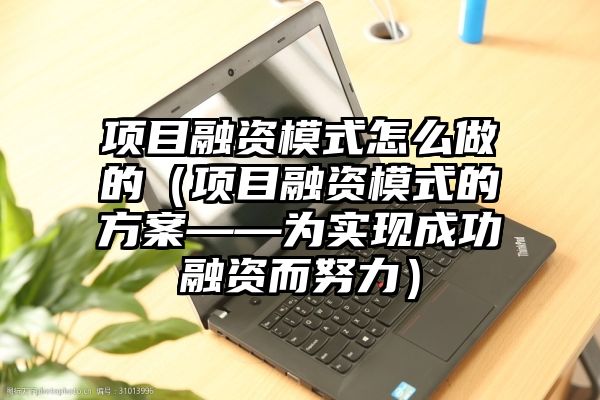 项目融资模式怎么做的（项目融资模式的方案——为实现成功融资而努力）