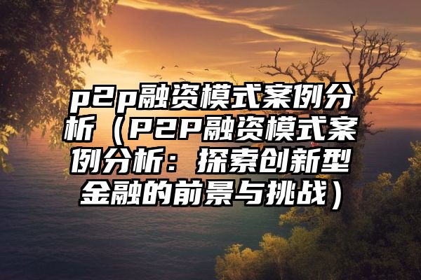 p2p融资模式案例分析（P2P融资模式案例分析：探索创新型金融的前景与挑战）