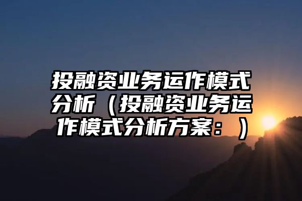 投融资业务运作模式分析（投融资业务运作模式分析方案：）