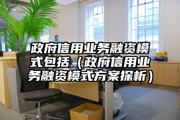 政府信用业务融资模式包括（政府信用业务融资模式方案探析）