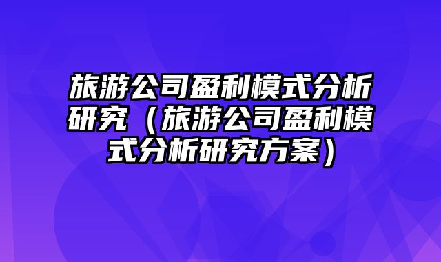 旅游公司盈利模式分析研究（旅游公司盈利模式分析研究方案）