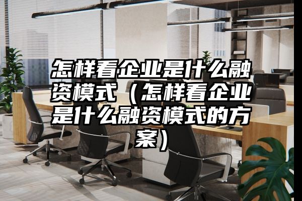 怎样看企业是什么融资模式（怎样看企业是什么融资模式的方案）