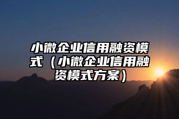 小微企业信用融资模式（小微企业信用融资模式方案）