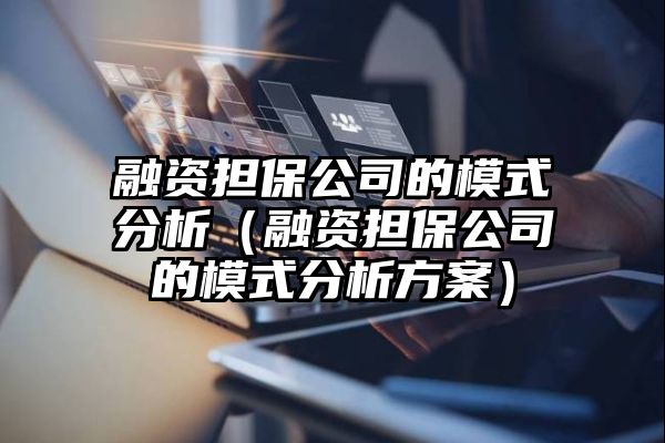 融资担保公司的模式分析（融资担保公司的模式分析方案）