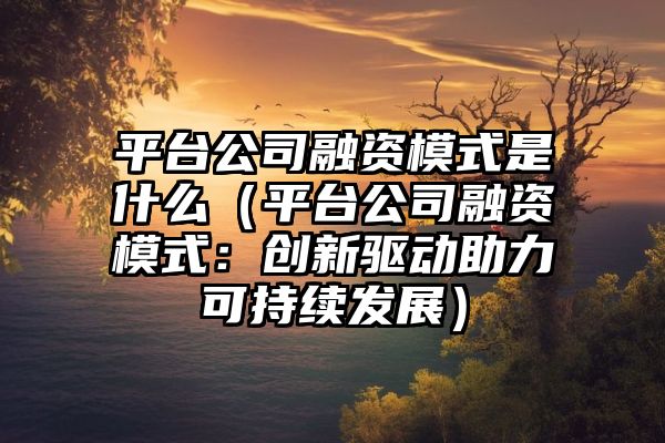 平台公司融资模式是什么（平台公司融资模式：创新驱动助力可持续发展）