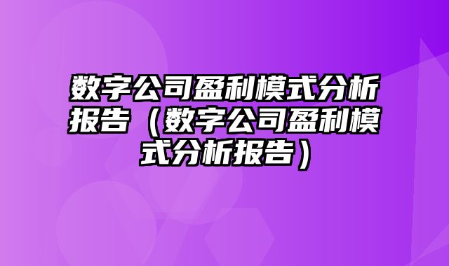 数字公司盈利模式分析报告（数字公司盈利模式分析报告）