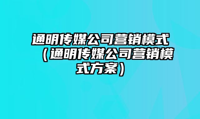 通明传媒公司营销模式（通明传媒公司营销模式方案）