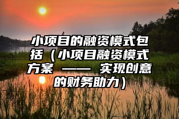 小项目的融资模式包括（小项目融资模式方案 —— 实现创意的财务助力）