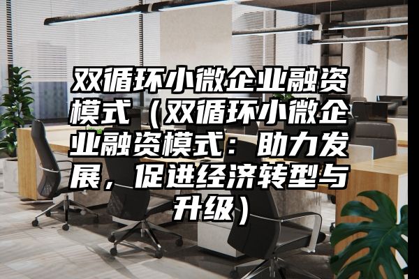 双循环小微企业融资模式（双循环小微企业融资模式：助力发展，促进经济转型与升级）