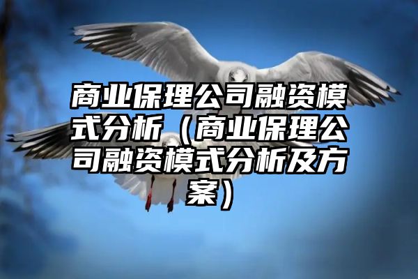 商业保理公司融资模式分析（商业保理公司融资模式分析及方案）