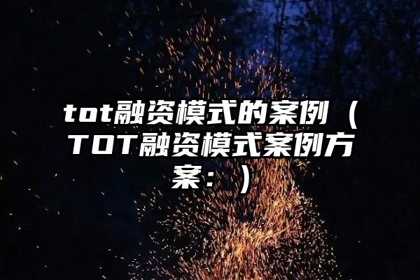 tot融资模式的案例（TOT融资模式案例方案：）